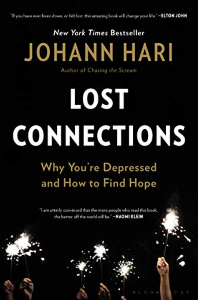 Lost Connections book